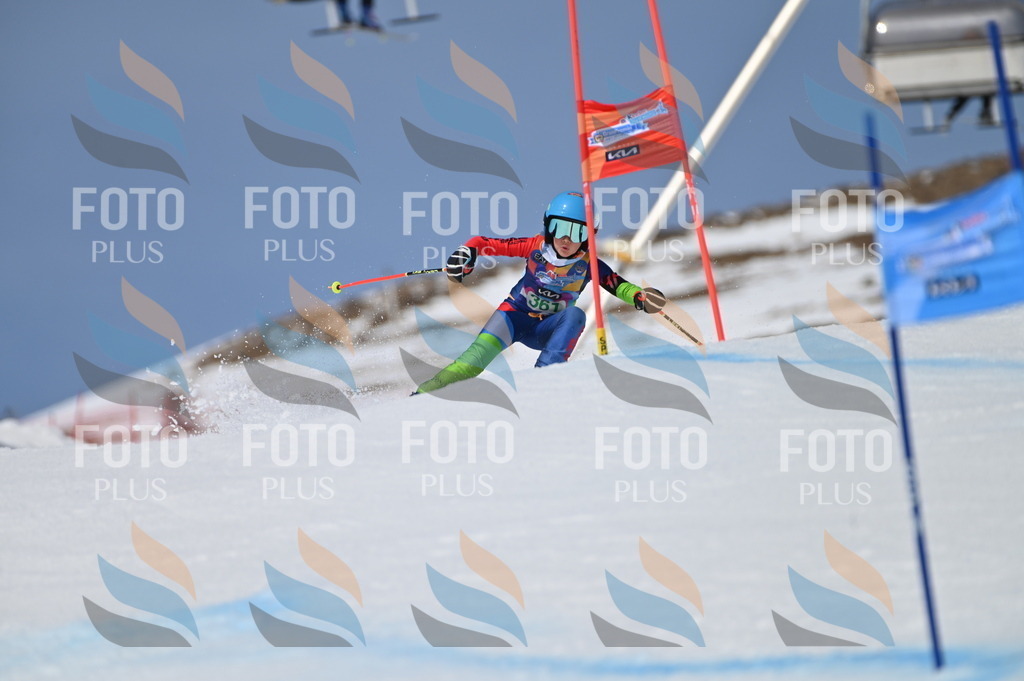 BGV_7131 | holidayphoto