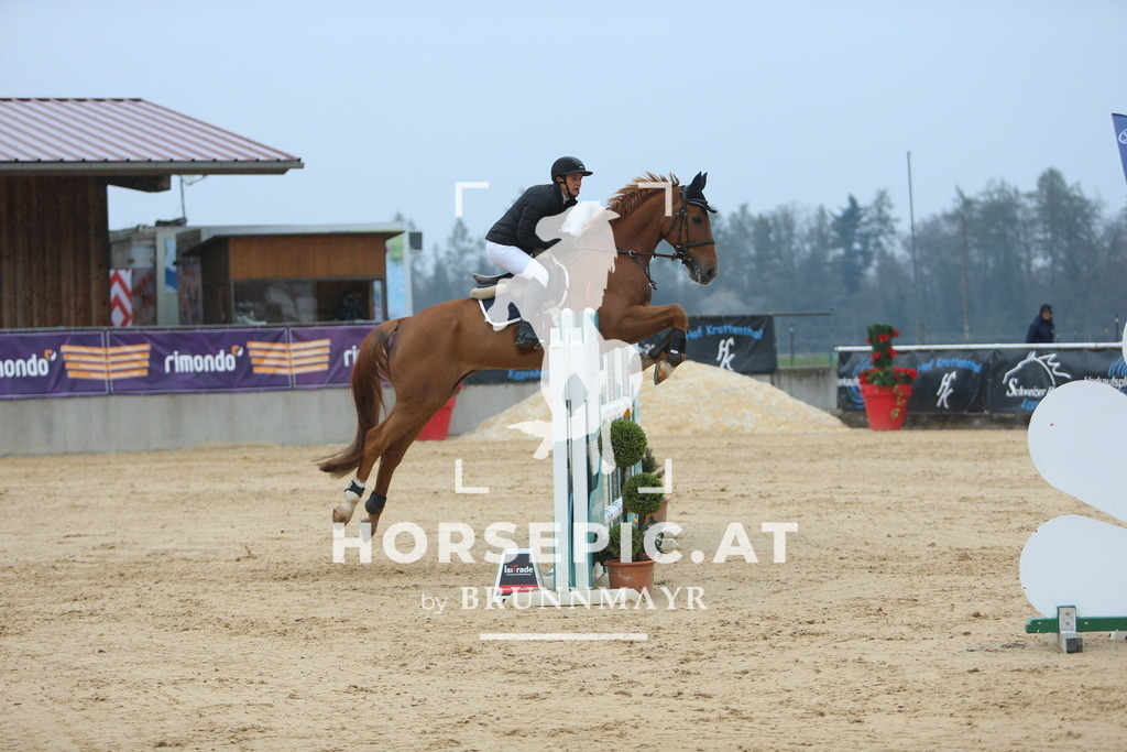 DL2Q6874 | Willkommen bei Brunnmayr - Design & Fotografie – Ihrem Spezialisten für Reitturniere und Pferdeveranstaltungen in Oberösterreich, Salzburg und Bayern! Seit über 17 Jahren sind wir leidenschaftlich dabei.