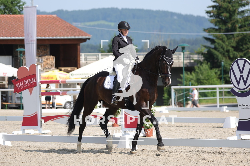 0P6A4572 | Willkommen bei Brunnmayr - Design & Fotografie – Ihrem Spezialisten für Reitturniere und Pferdeveranstaltungen in Oberösterreich, Salzburg und Bayern! Seit über 17 Jahren sind wir leidenschaftlich dabei.