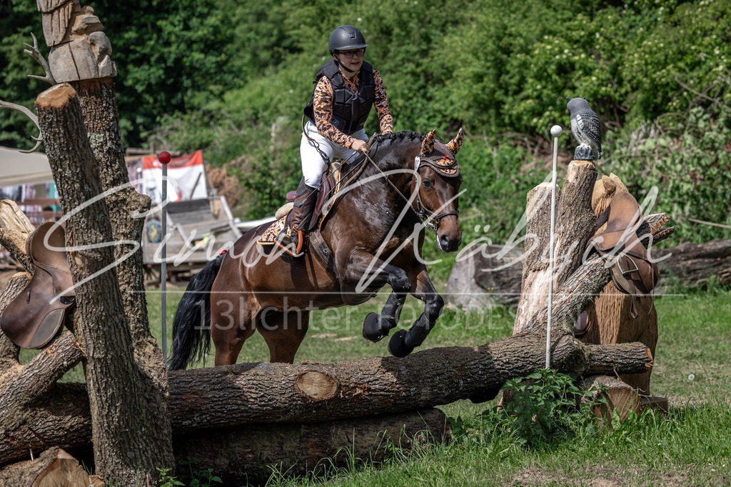 20260523-_3LI9091 | Tierfotografie Pferde, Hunde, Katzen, Haustiere.
Turnierfotografie Reitturniere, Reiten, Springreiten, Dressur in Hanau, dem Main-Kinzig-Kreis und dem Rhein-Main- Gebiet um Frankfurt