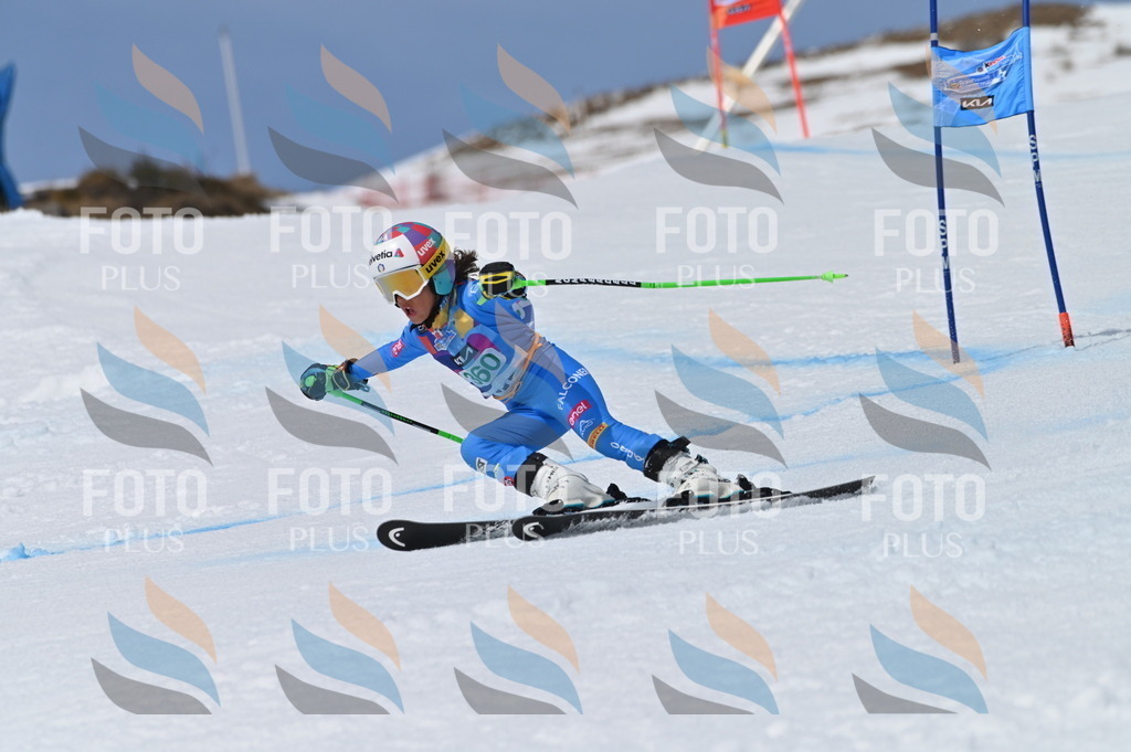 BGV_7124 | holidayphoto