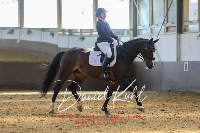 IMG_2778 | Turniersportfotografie; Pferdefotografie; Dressurfotografie