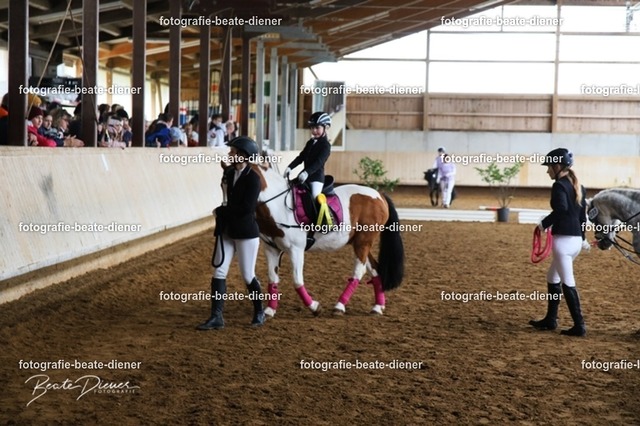 JugendTrophy.II0111 | Fotografie, Tiere, Hunde, Katzen, Pferde, Sportfotografie, Fotosession, Tierfotografie, Turnierfotografie, Fotografin, Fotograf - Realisiert mit Pictrs.com