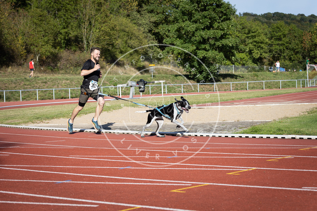 Pfotenfotografie_DV3A0070 | Hundefotografie, Tierfotograf, Pfotenfotografie, Fotoshooting Hund, Hunde Portrait, Hundesport, Hundeportraits, Heideshooting, Hunde, Sportfotograf, Hundefotograf, Turnierhundsport, THS,  - Realisiert mit Pictrs.com