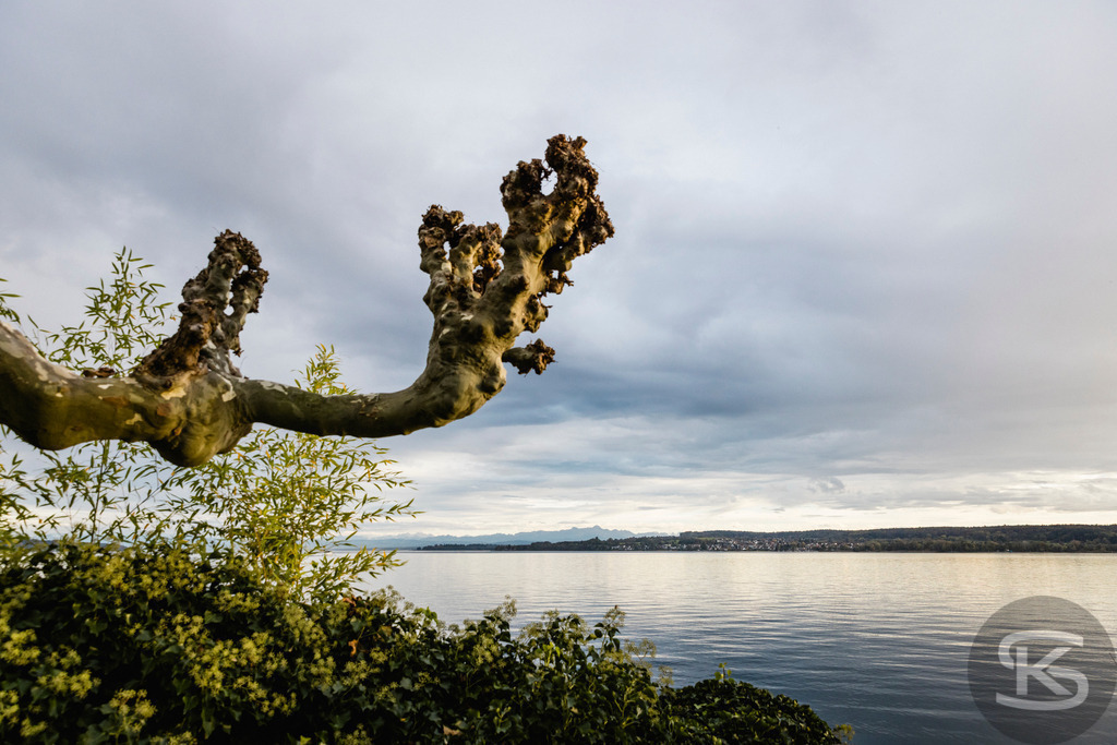 Bodenseebilder Galerie: Atemberaubende Fotos & Stimmungen | Entdecken Sie eine Sammlung stimmungsvoller Fotos vom Bodensee. Hochwertige Bilder von Sonnenauf- und -untergängen, Uferlandschaften, Booten und der Natur rund um den größten See Deutschlands. - Realisiert mit Pictrs.com