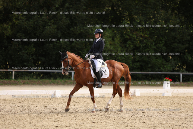 HG9A1608 | laurarinckfotografie - Realisiert mit Pictrs.com