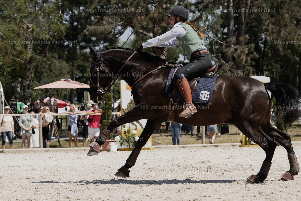 WE_SP_Stoib_315_PI2025_1852 | Pferd International München 2025