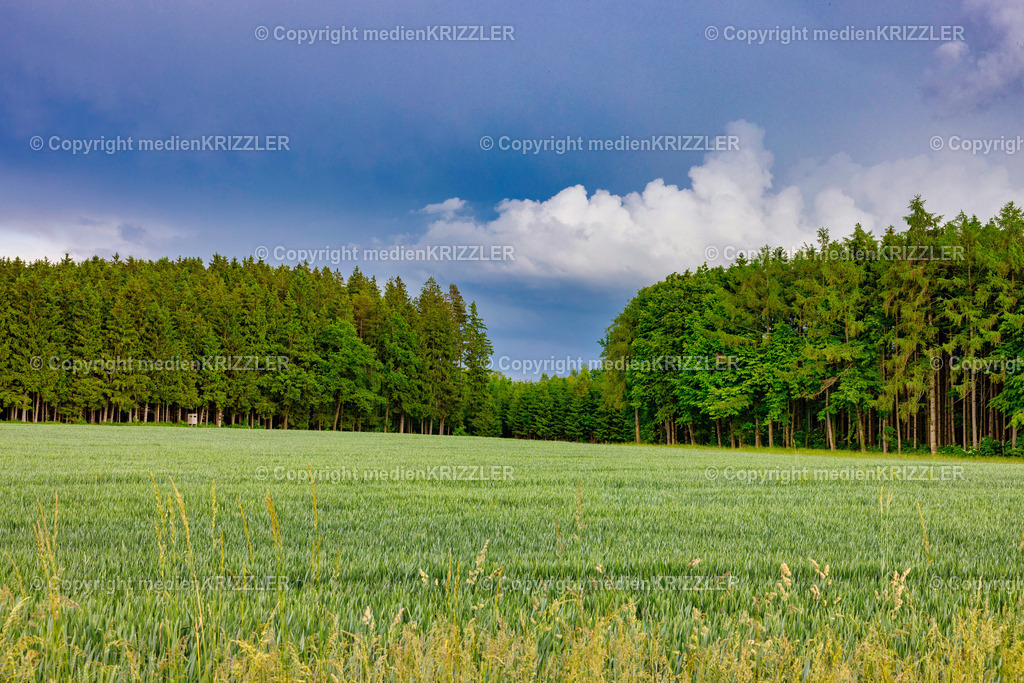 _J3A1245 | medienkrizzler - Realisiert mit Pictrs.com