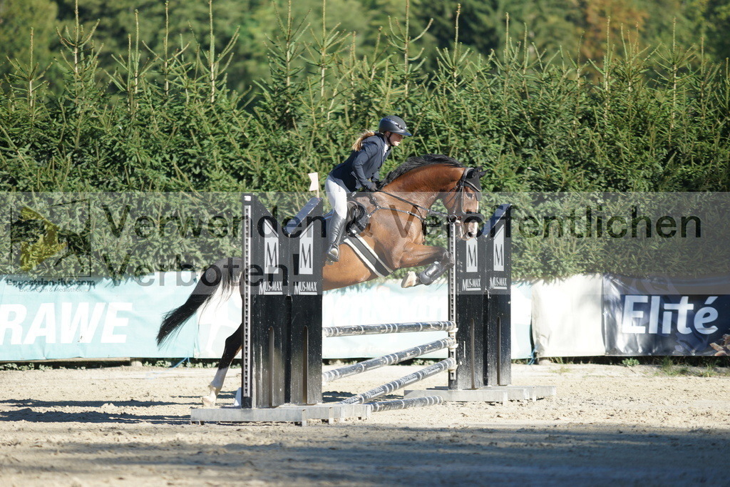 DSC08275 | equestrian-live-com