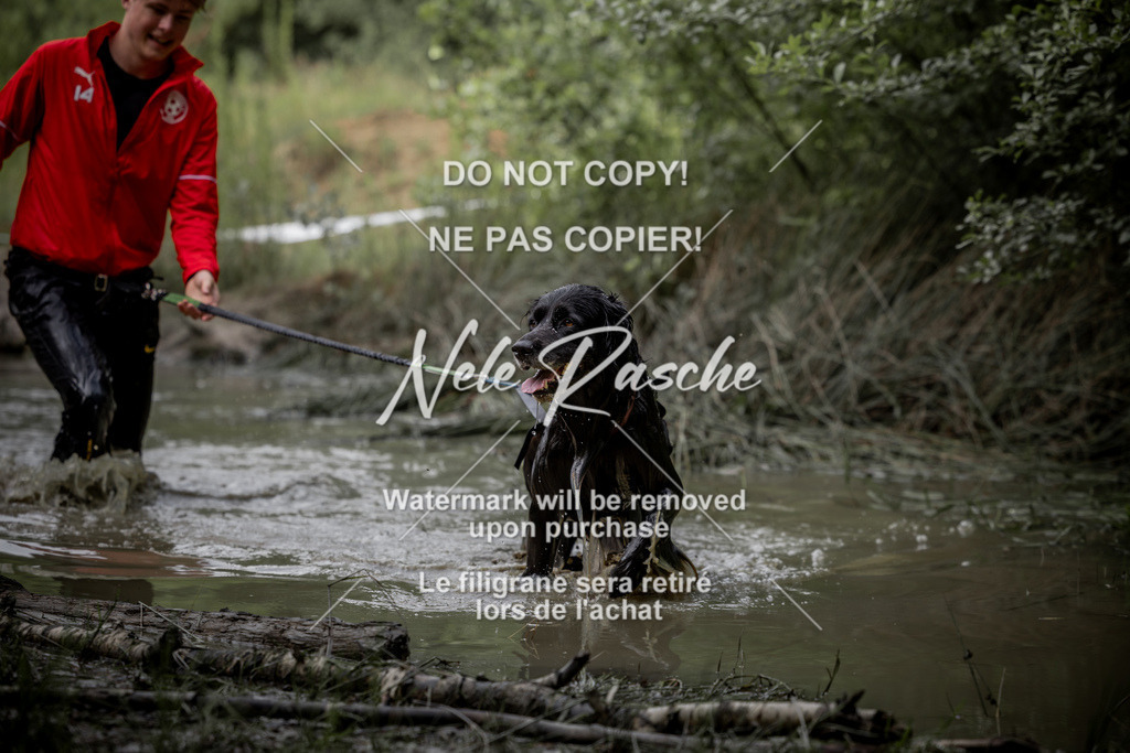 nelerasche_so0800-0930_06 | nelerasche