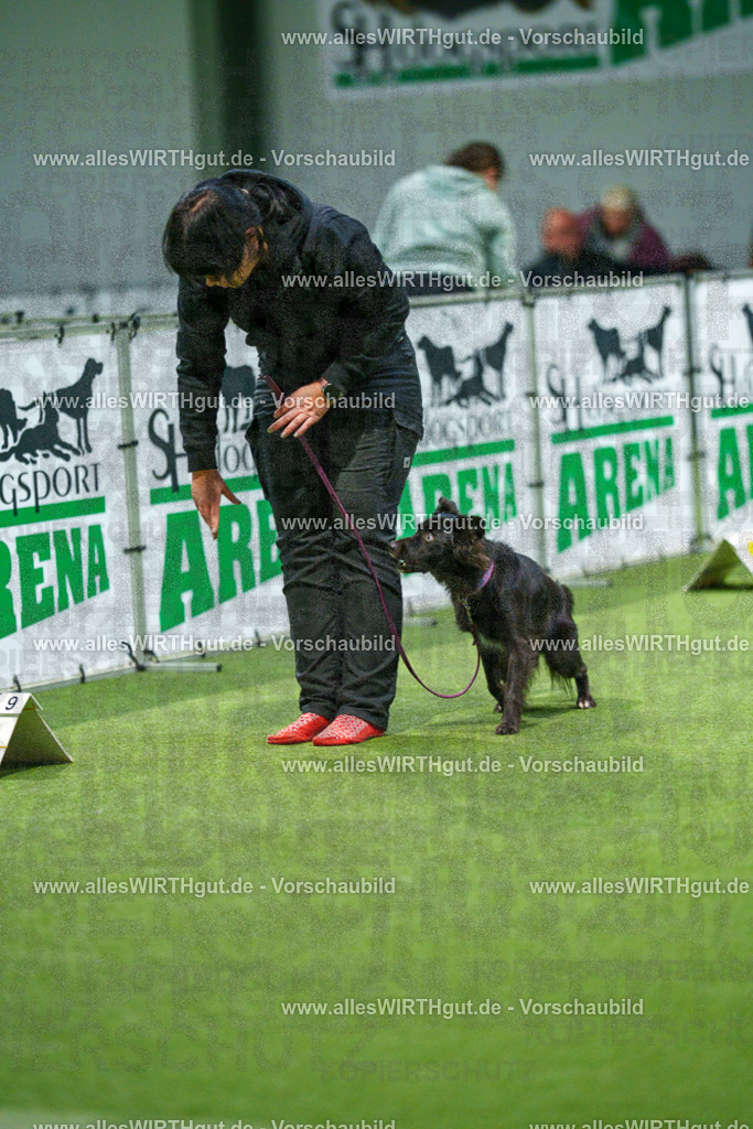 7R505756 | Professionelle Tierfotografie in Mönchengladbach von Daniel Wirth (allesWIRTHgut). Liebevolle & natürliche Bilder von Hunden & Katzen für unvergessliche Erinnerungen.