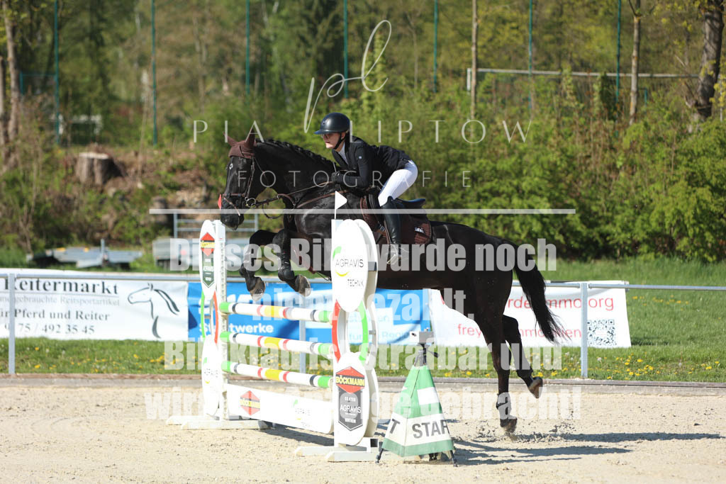 IMGM2546 | pl-fotografie