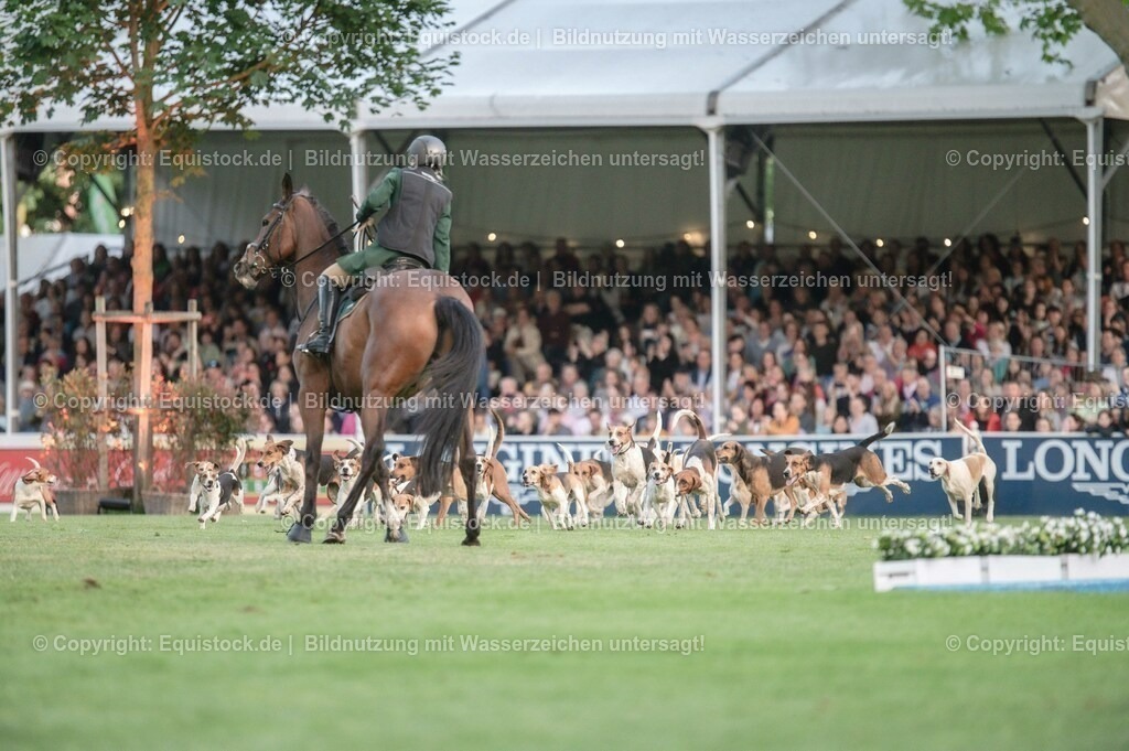 20230526_Pferdenacht_0537 | equistock