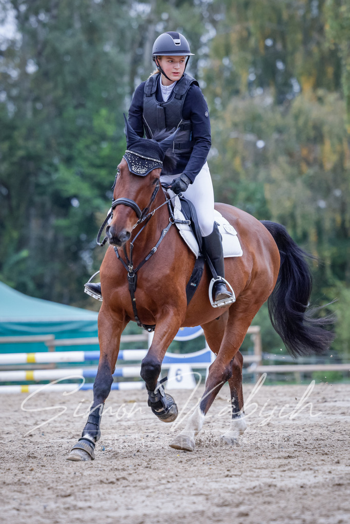 20251012-_3LI2938 | Tierfotografie Pferde, Hunde, Katzen, Haustiere.
Turnierfotografie Reitturniere, Reiten, Springreiten, Dressur in Hanau, dem Main-Kinzig-Kreis und dem Rhein-Main- Gebiet um Frankfurt
