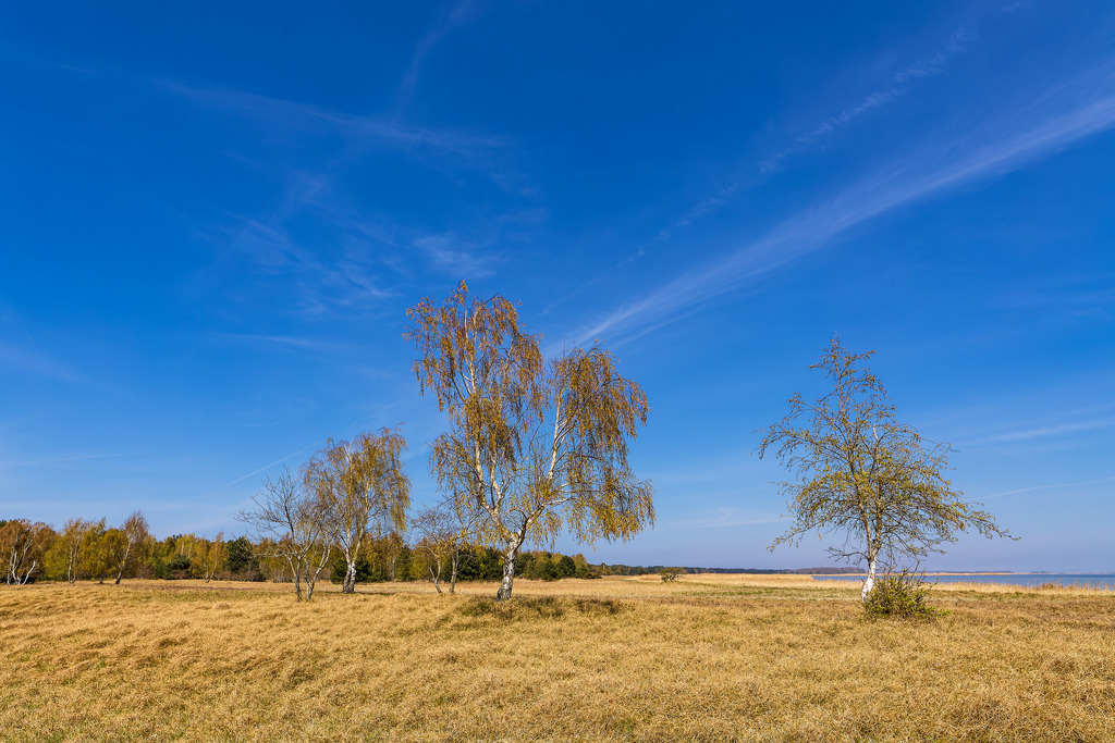 Landschaft  auf dem Gellen auf der Insel Hiddensee | Landschaft  auf dem Gellen auf der Insel Hiddensee.
