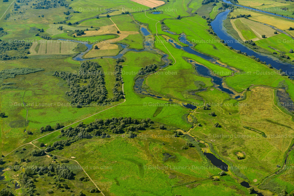 3637455 | Nationalpark Unteres Odertal bei ZüTZEN 25.08.2016 Grasflächen- Strukturen einer Feld- und Wiesen- Landschaft  in Zützen im Bundesland Brandenburg, Deutschland // Structures of a field landscape  in Zützen in the state Brandenburg, Germany Foto: Gerhard Launer
