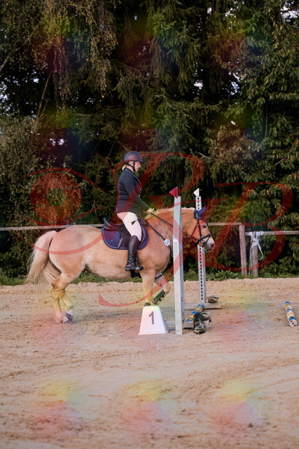 2026_10_03_Siefer-Hof_145225_Z81_31235200 | Professionelle Reitsport-, Turnier- und Eventfotografie von Robert Broda. Galerien mit ausgewählten und bearbeiteten Bildern direkt online ansehen und bestellen.
