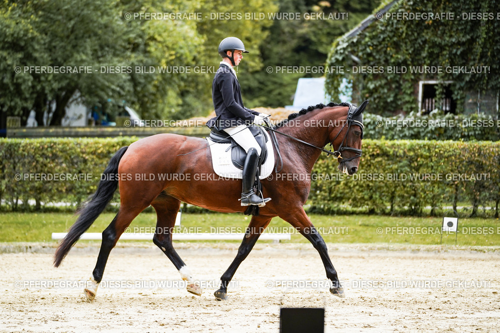 DSC08336 | Pferdegrafie