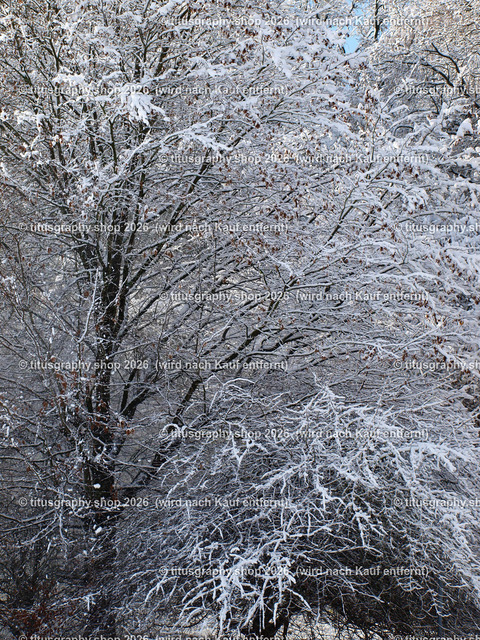 phototitusgraphy Winterimpressionen-Edition 001 | Fotokunstarbeit aus der INSTAGRAM-Gallerie auf titusgraphy.eu - Realisiert mit Pictrs.com