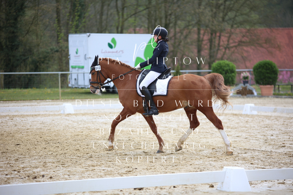 IMGT4068 | pl-fotografie