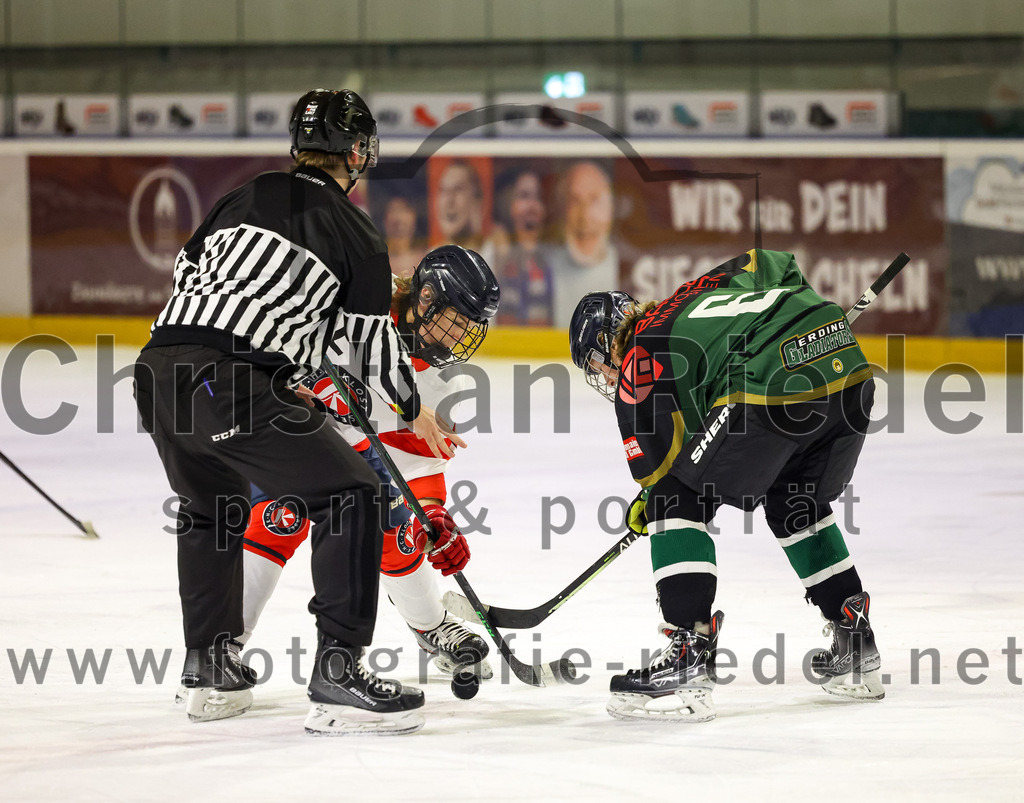 2022-12-04_110_TSV_Erding_gegen_EHC_Klostersee | Erding, Deutschland, 04.12.2022:
Eishockey, Bayernliga U17 2022 / 2023, 11. Spieltag, TSV Erding gegen EHC Klostersee, Endergebnis: 3:5

Marek Schlammer (Erding Gladiators, #6)

Foto: Christian Riedel / fotografie-riedel.net