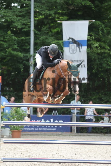 Ichenheim_2024_Prfg.Nr01_Springprfg_Kl.S_m.St._Mario Walter_Cora de la Rosa W (7) | Alle Fotos der Reiterjournal Fotografin Doris Matthaes im Reiterjournal Online-Fotoshop. - Realisiert mit Pictrs.com