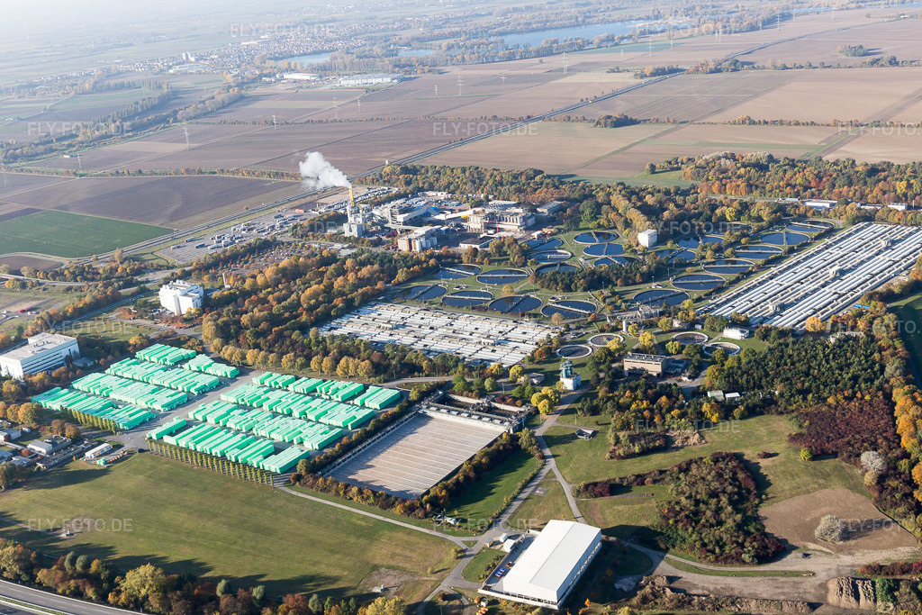 Luftbild: BASF-Kläranlage im Ortsteil Mörsch in Frankenthal im Bundesland Rheinland-Pfalz in Deutschland. Foto: IMG_095516.jpg vom 30.10.2016 durch Werner Riehm/FLY-FOTO.de
