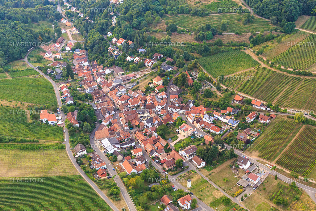 Winzerdorf zu Füßen des Haardtrands aus Südosten | Luftbild: Winzerdorf zu Füßen des Haardtrands aus Südosten in Leinsweiler im Bundesland Rheinland-Pfalz in Deutschland. Foto: IMG_094585.jpg vom 02.09.2016 durch Werner Riehm/FLY-FOTO.de - Realisiert mit Pictrs.com