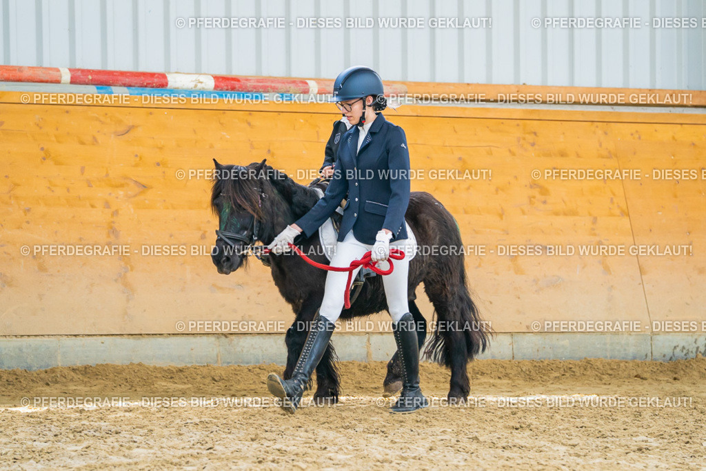 DSC00600 | Pferdegrafie