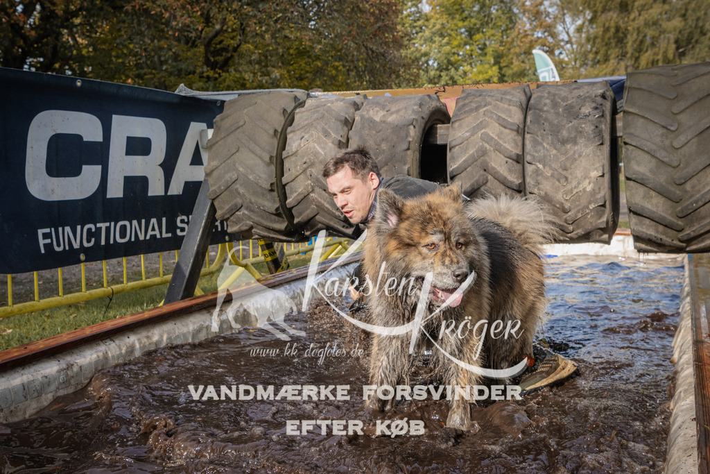 1411_ZZ94117 | kk-dogfotos