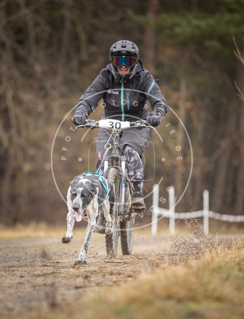 DV3A3292 | Hundefotografie, Tierfotograf, Pfotenfotografie, Fotoshooting Hund, Hunde Portrait, Hundesport, Hundeportraits, Heideshooting, Hunde, Sportfotograf, Hundefotograf, Turnierhundsport, THS,  - Realisiert mit Pictrs.com