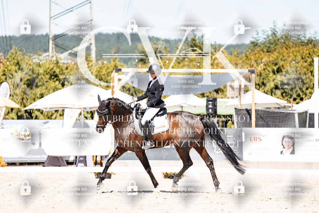 CK909564 | Turnierfotografie Pferdefotografie Trier Rheinland-Pfalz Pferdesport Reitsport Tierfotografie Sportfotografie Pferdevideo Pferdevideografie Equestrianvideography equestrianphotography  - Realisiert mit Pictrs.com
