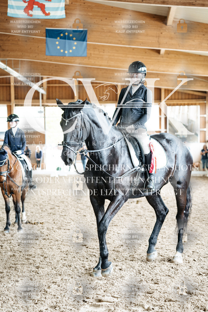 CK703376 | Turnierfotografie Pferdefotografie Trier Rheinland-Pfalz Pferdesport Reitsport Tierfotografie Sportfotografie Pferdevideo Pferdevideografie Equestrianvideography equestrianphotography  - Realisiert mit Pictrs.com