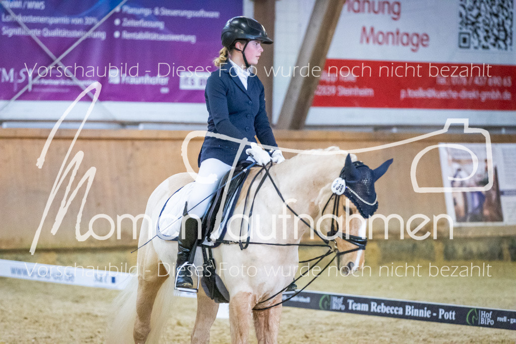 Sth-WBO25-DrR-077 | MomenTaufnahmen Pferdesportfotos