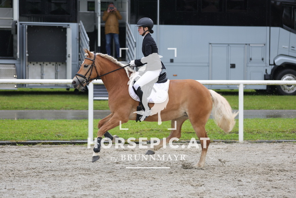 0P6A7950 | Willkommen bei Brunnmayr - Design & Fotografie – Ihrem Spezialisten für Reitturniere und Pferdeveranstaltungen in Oberösterreich, Salzburg und Bayern! Seit über 17 Jahren sind wir leidenschaftlich dabei.