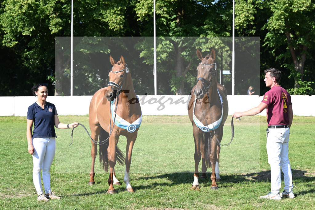 Kat-Nr. 43 Bonjour la Rouge K v. Dynamic Dream_Silvestre u Kat-Nr. 57 Thalya W v. Va Bene_Winklmaier_19251499 | hf-fotografie - Realisiert mit Pictrs.com