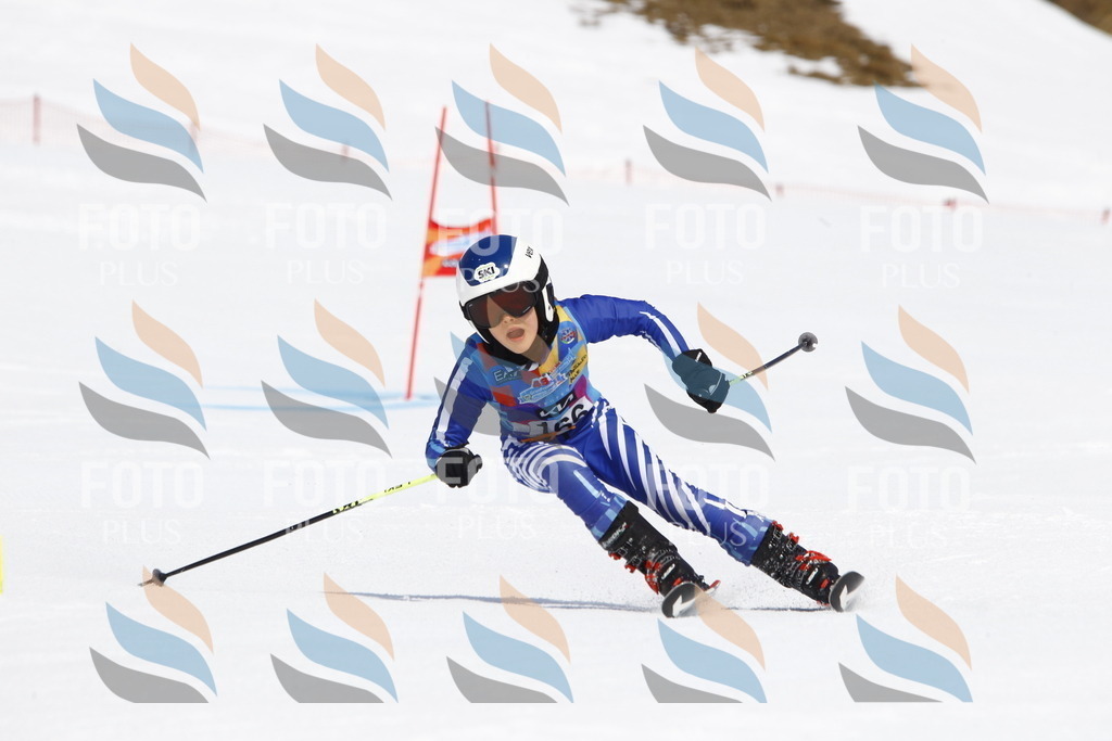 _U3G4462 | holidayphoto