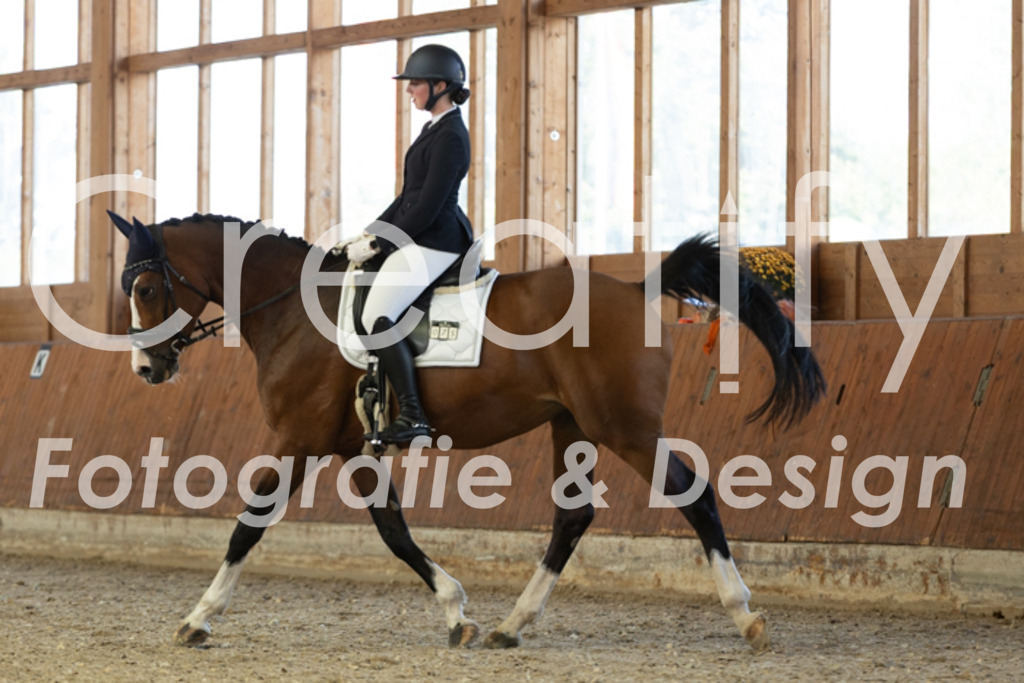 IMG_5040 | Creatify Fotografie