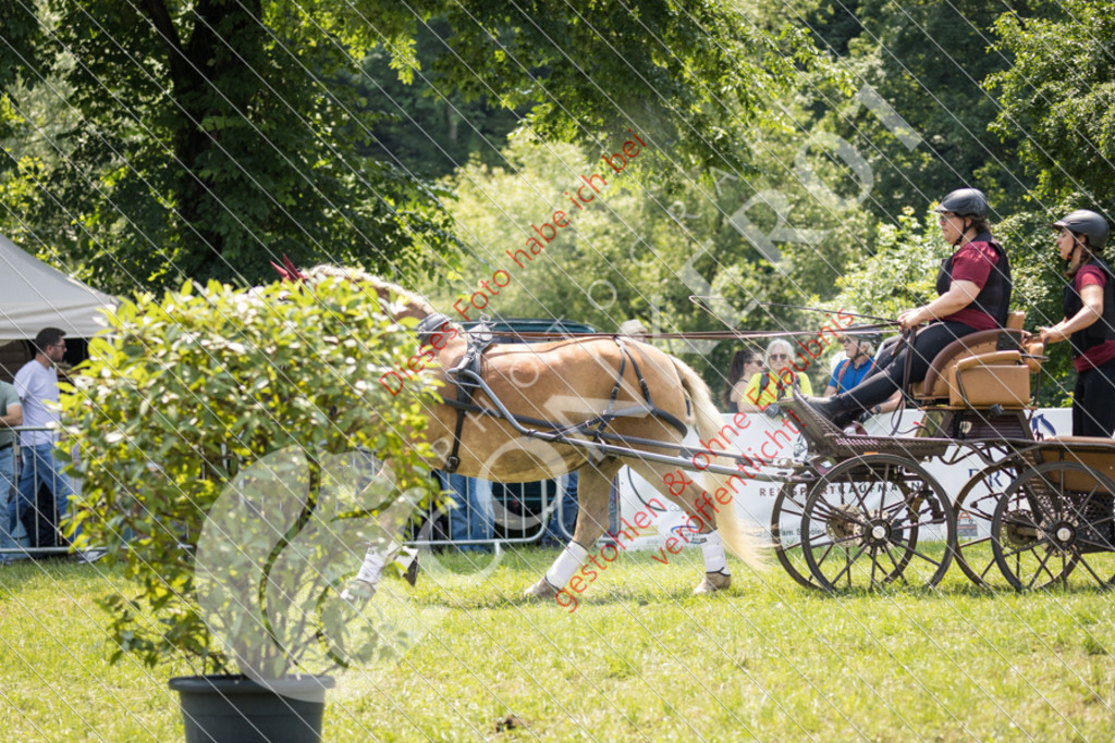 IMG_7957 | Sport-, Event- und Tierfotos in Profiqualität. Einfach auswählen, bestellen und herunterladen. Dein Moment – perfekt festgehalten.