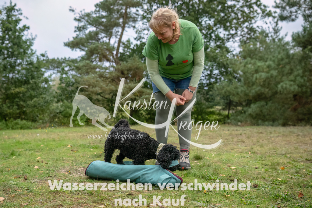 1702_ZZ90820-3-Bearbeitet | kk-dogfotos
