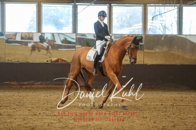 IMG_7681 | Turniersportfotografie; Pferdefotografie; Dressurfotografie
