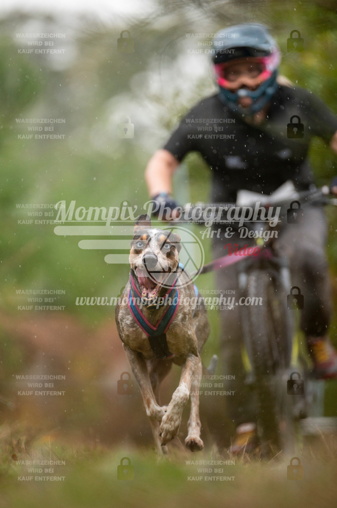 TSB_2023_E5_Bike-34 | PayLife
