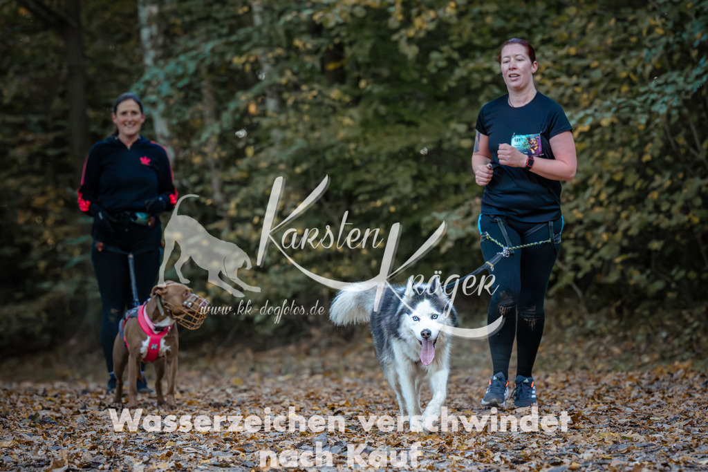 0913_ZZ97155 | kk-dogfotos