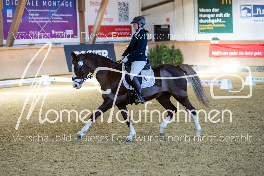 Sth-LPO25-DrR-L-163 | MomenTaufnahmen Pferdesportfotos