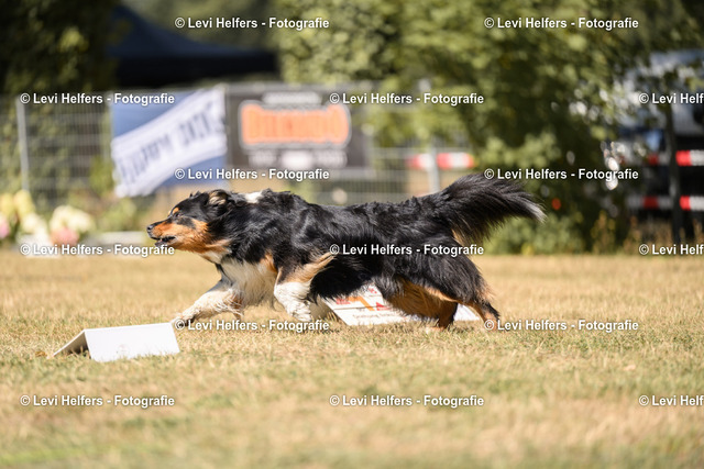 _DSC6825 | levihelfersfotografie