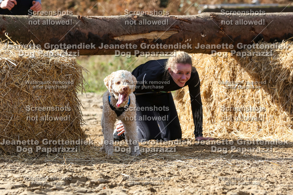 Dog Paparazzi - Strongdog 10-25-5533 | Dog Paparazzi Jeanette Grottendiek Fotografie & Videografie - Realisiert mit Pictrs.com