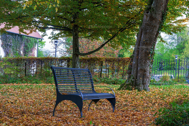 Herbstlicht