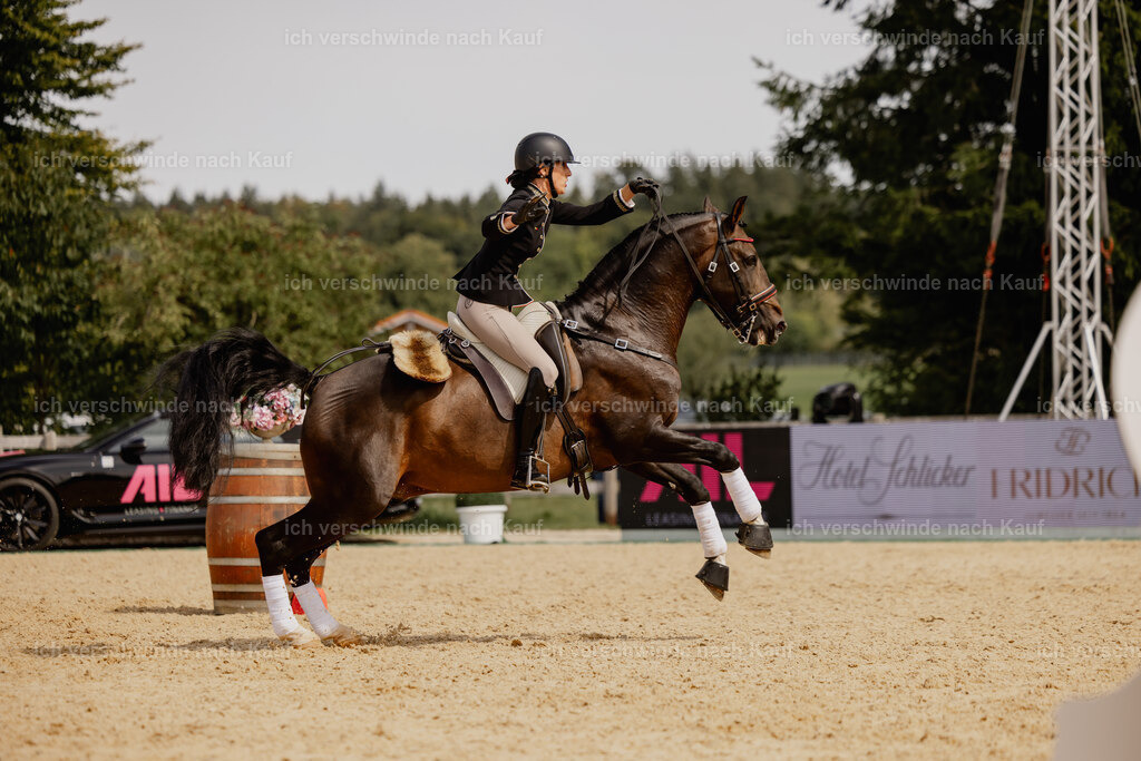 Virginie12FHC2025-20678 | working equitationturnier fotograf videograf stoibphotography marixx film working equitation deutschland reitsport turnierfotografie eventfotografie equestrian events