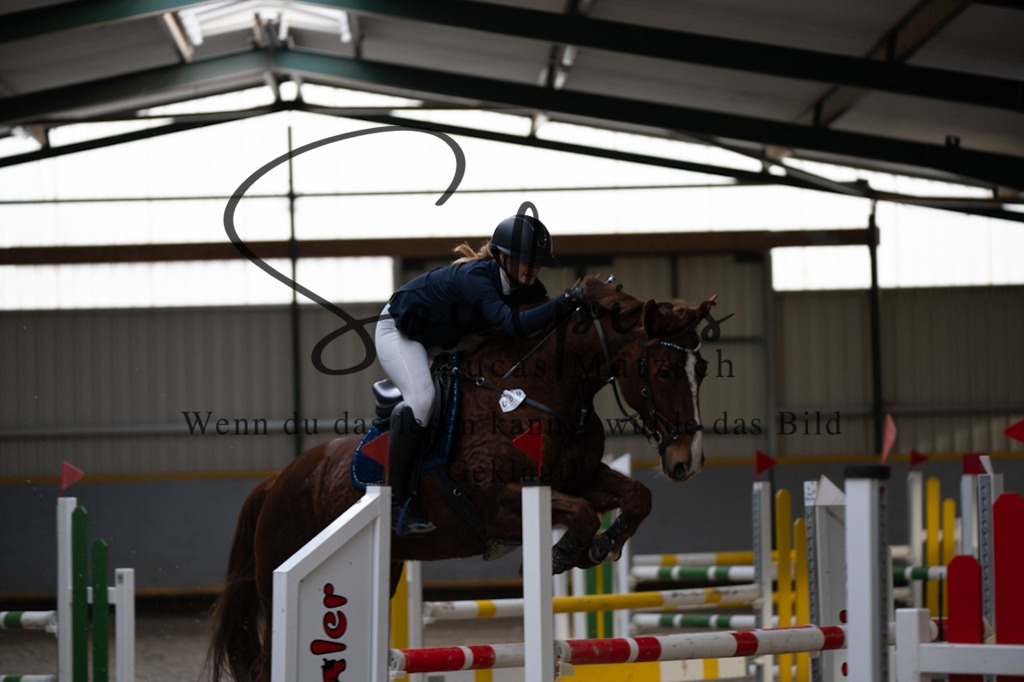 A7V04498 | Pferdefotograf