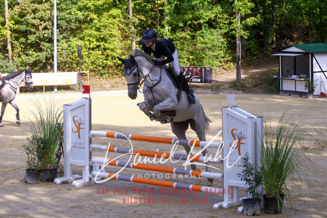 DKP42354 | Deine Turnierfotos vom Reitturnier online kaufen: Dressur, Springen & Siegerehrung. Professionelle Pferdefotografie aus dem Rheinland – als Download & Print.Alternative: Turnierfotograf für den Pferdesport: Finde deine Fotos von Dressur- und Springturnier